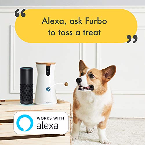 Furbo not tossing treats best sale